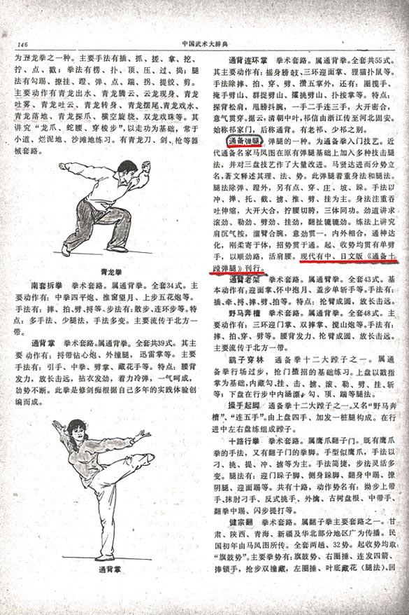 中国武術大辞典による『通備拳』の証明