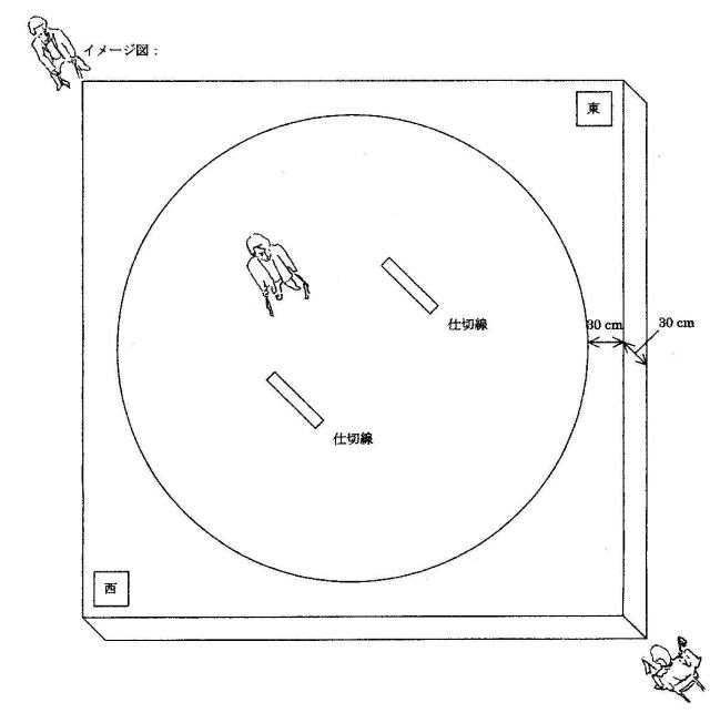 擂台イメージ図